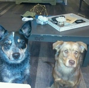 Meet your Posher, Kelli